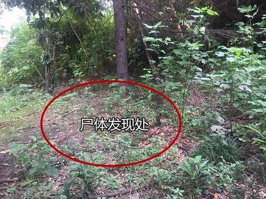 广州附近学生快餐amjs澳金沙门线路首页的联系方式大公开!吃货必看省钱攻略,广州哪里还有快餐