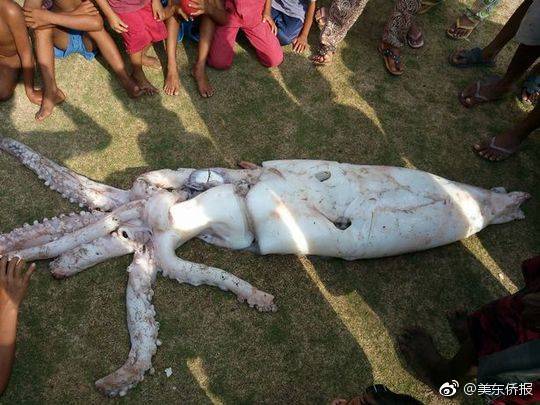 找妹子多少钱一晚 _ 链家