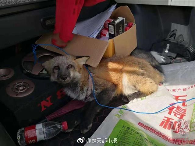 南京嫖娼:新手避坑指南全攻略|这些雷区千万别踩!,南京怎么嫖
