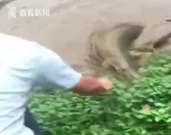 沧州粉灯一条街,沧州红灯区价格行情