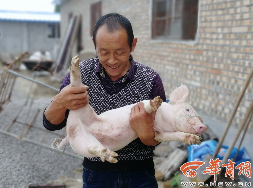 安顺市小巷子爱情 _ 货架子英文,安顺货架批发市场