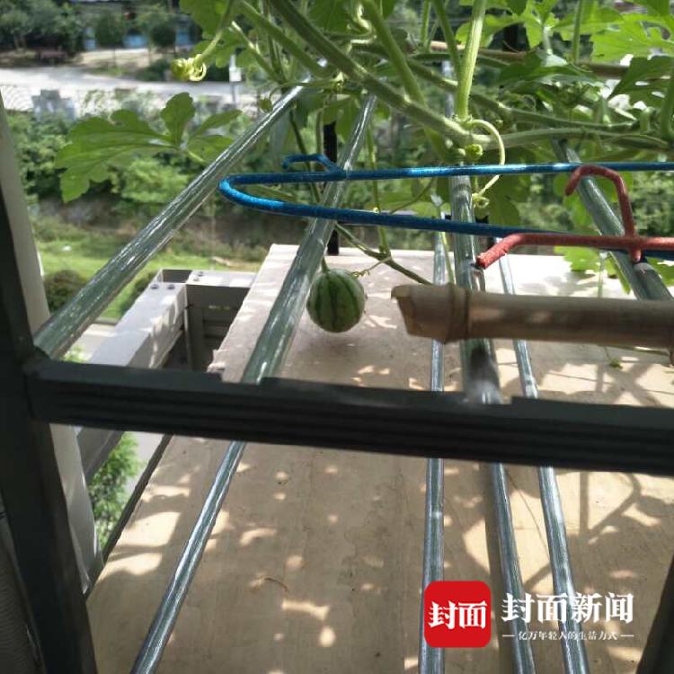 400上门套路 _ 轻工业手套