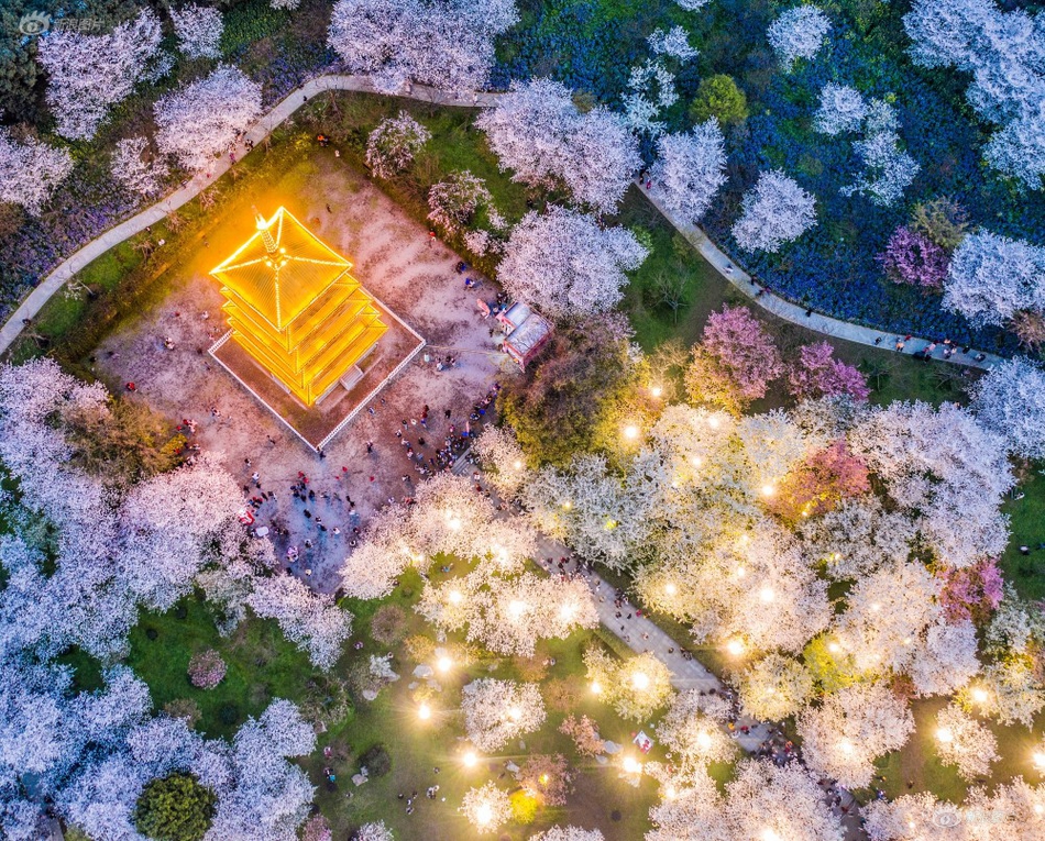 黄石晚上哪里有小巷子,黄石有没有夜市