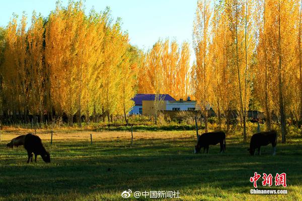 成都快餐地点 _ 熬坏 释义,成都出名的快餐连锁