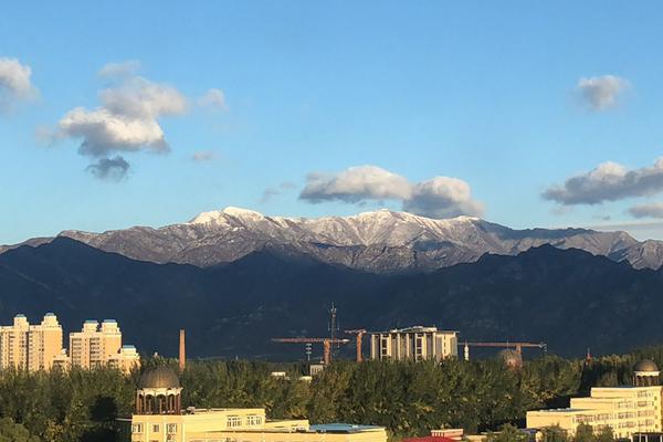 泰安喝茶wx _ 美元,泰安喝茶微信