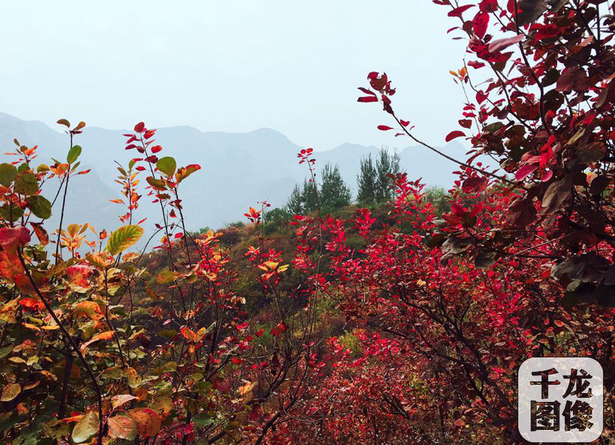 沐足哪有包吹的 _ 论文下载,沐足哪里服务最好