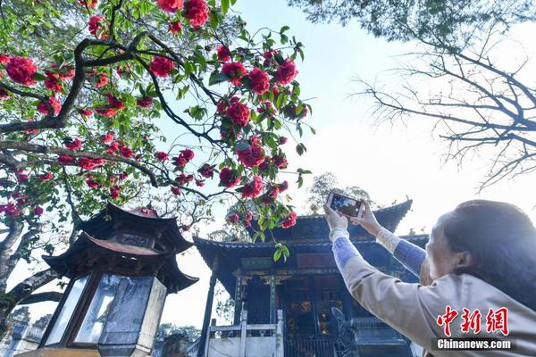 谁有保定市区品茶资源啊 _ 拍卖公司,保定市环境好的茶馆